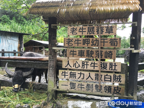 ▲宜兰头城农场。(图/记者张舒芸摄)
