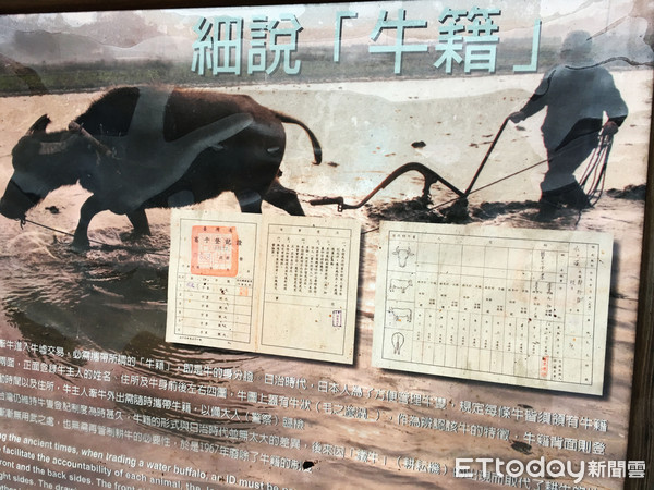 ▲宜兰头城农场。(图/记者张舒芸摄)