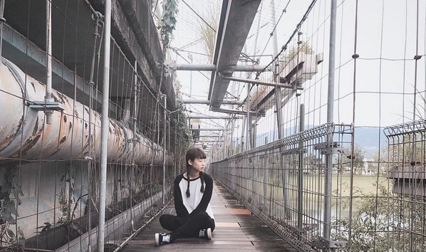 庆和桥津梅栈道（图／网友daidaisylin提供，请勿随意翻拍，以免侵权。）