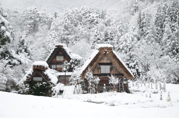 合掌村成童话屋(图/白川乡合掌村)
