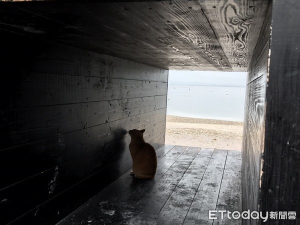 ���ձ���֪С�뵺�����õ����������С���ͼ�������������㣩