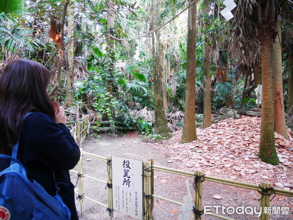 ▲日本青岛神社。(图/记者彭怀玉摄)