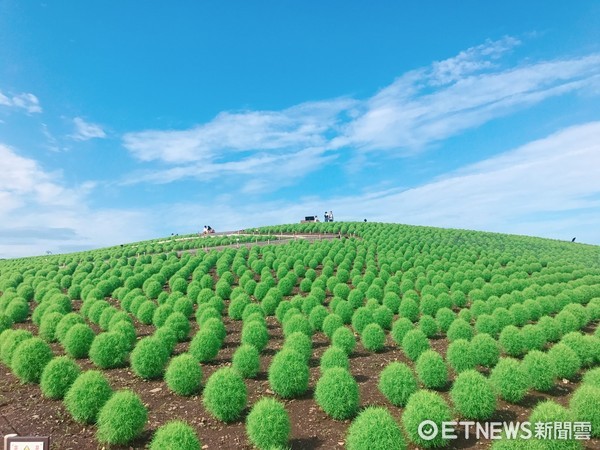 ▲台湾虎航与旅游业者视察日本茨城、群马、h木县。（图／记者赖文萱摄）