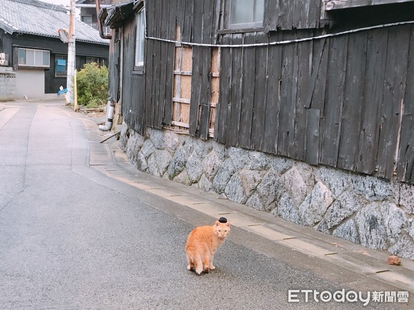 ���ձ���֪С�뵺�����õ����������С���ͼ�������������㣩