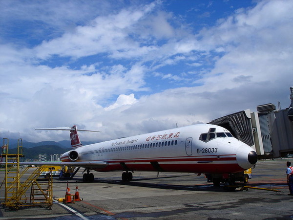 远东航空(图/取自远公航空公司粉丝专页)