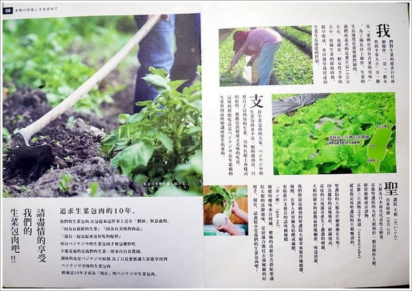 VEGE TEJI YA 菜豚屋(台中店)。(图/大口提供)