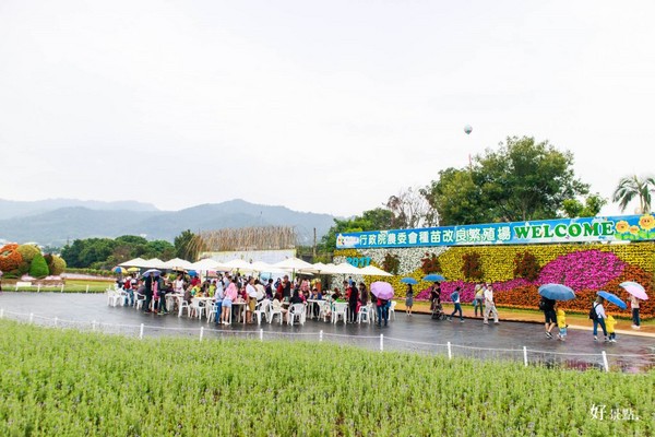 ▲新社花海。(图/好景点提供)