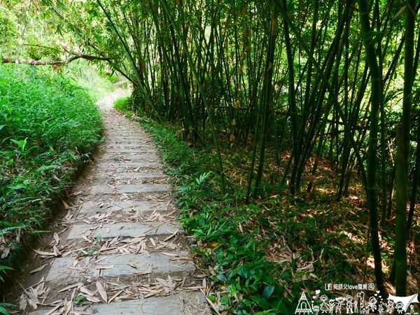 ▲苗栗大坪左岸亲子露营地。(图/何师父提供)