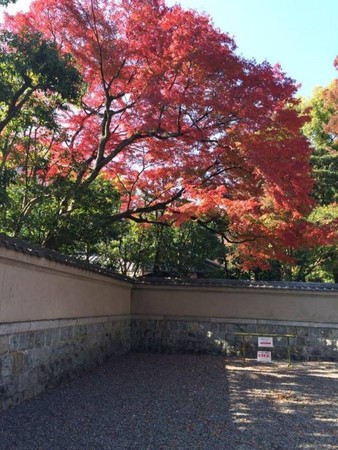 ▲花光薪水去旅行带给我什么影响?。(图/花光薪水去旅行提供)