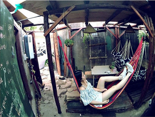 飞行树屋咖啡(图/网友lansjan提供,请勿随意翻拍,以免侵权。)
