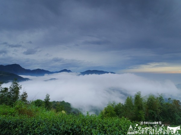 ▲南投鹿谷乡溪头宏亿茶园景观露营地。(图/何师父提供)