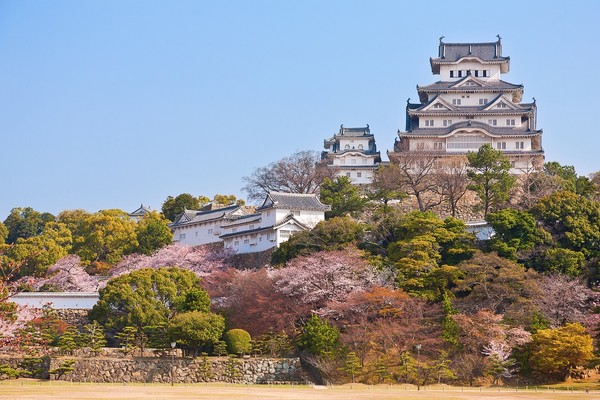 ▲日本四国。（图／七逗旅游网提供）