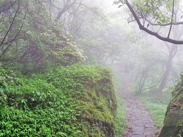 ▲台北秘境阳明山梦幻湖。(图/葛瑞丝提供)