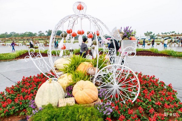 ▲新社花海。(图/好景点提供)