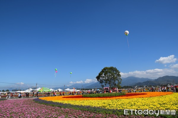 ▲新社花海。(图/农委会提供)