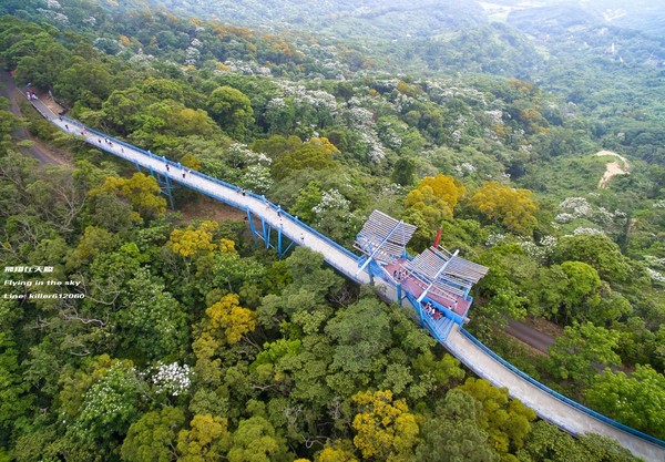▲苗栗铜锣湾天空步道(图/摄影师《飞翔在天际》授权提供,请勿随意翻拍。)