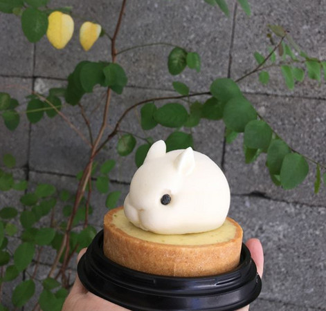 ▲%加tudio io design小珍珠奶茶千层、芋头西米露千层、小兔塔。(图/IG@chang2015_tainan提供,请勿随意翻拍,以免侵权。)