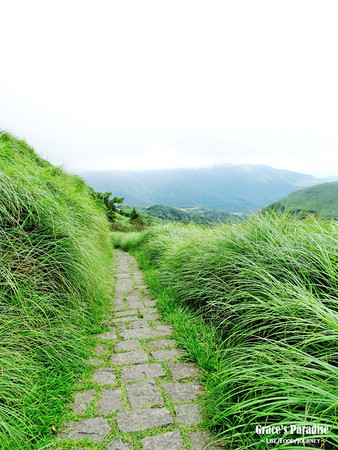 ▲台北秘境阳明山梦幻湖。(图/葛瑞丝提供)