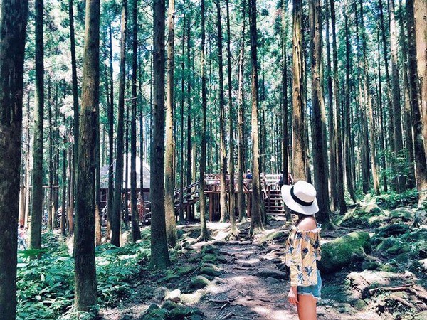 ▲马武督探索森林。（图／IG@iloveu1314forever提供，请勿任意翻摄以免侵权）
