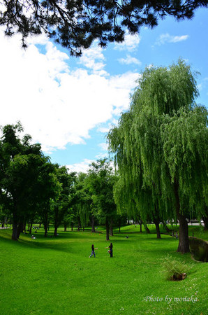 北海道大学。（图／摩那卡）