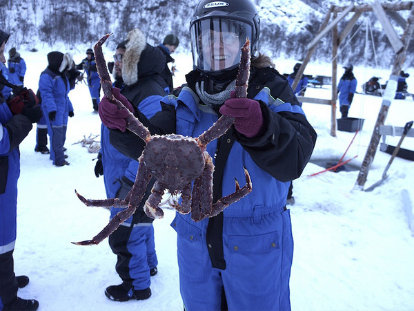▲海陆极光之旅。（图／欧雅旅游提供）