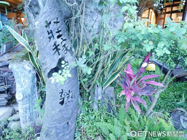 ▲台东池上庄稼熟了民宿。（图／记者彭怀玉摄）