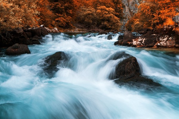 克斯蒙秋诗篇篇。(图/shutterstock.com)