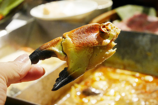 ▲昭日堂锅煮。（图／飞天旋提供）