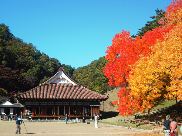 ▲冈山仓敷美观。(图/翔笙旅游提供)