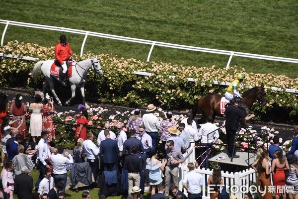 ▲墨尔本杯,Melbourne Cup,墨尔本赛马节,赛马,澳洲,弗莱明顿赛马场,Flemington Racecourse。(图/记者陈涵茵摄)
