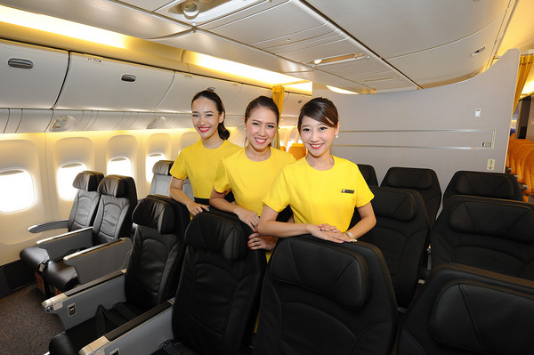 ▲酷鸟航空。(图/飞达旅游提供)
