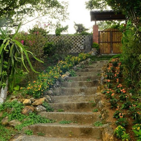 ▲阳明山新开幕秘境悦园 Yue Garden。(图/悦园提供)