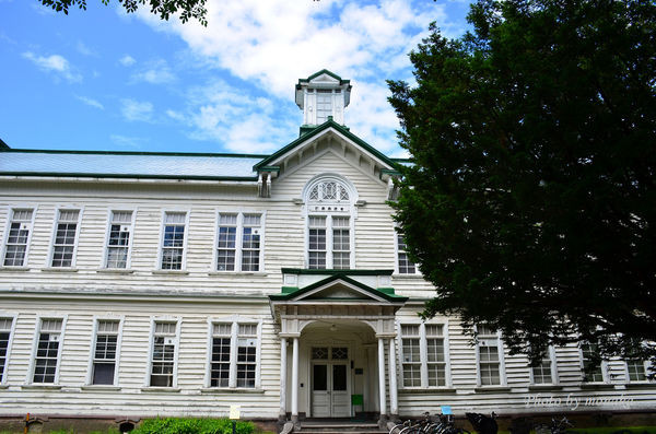 北海道大学。（图／摩那卡）