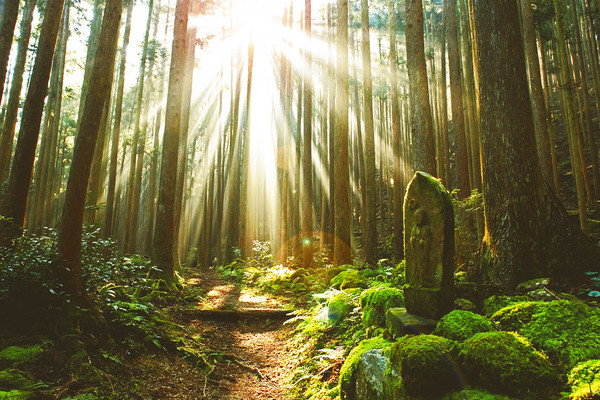 ▲秋枫揽胜泡汤访古,慢游日本纪伊半岛丰润心灵。(图/翔笙旅游提供)