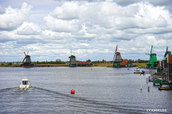 荷比卢自助12天----Zaanse Schans风车村。(图/Evangeline-Evan)