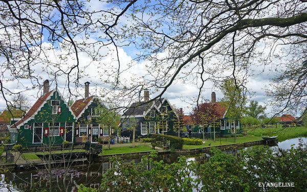 荷比卢自助12天----Zaanse Schans风车村。(图/Evangeline-Evan)