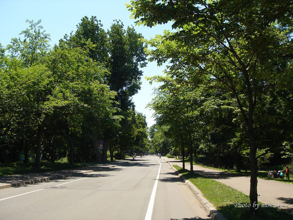 北海道大学。（图／摩那卡）