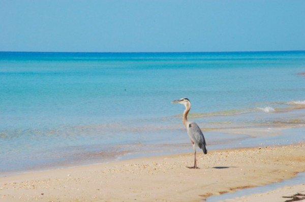▲全球6大生态旅游目的地。(图/Booking.com提供)