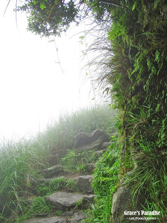 ▲台北秘境阳明山梦幻湖。(图/葛瑞丝提供)