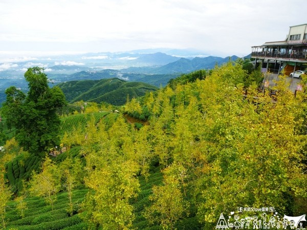 ▲南投鹿谷乡溪头宏亿茶园景观露营地。(图/何师父提供)