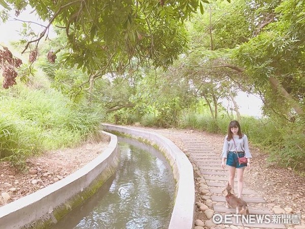 ▲台中知高圳步道。（图／网友abbie761128授权，请勿随意翻拍，以免侵权。）