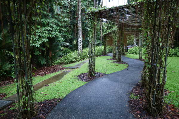 新加坡旅游-新加坡植物园（图／记者林世文摄）