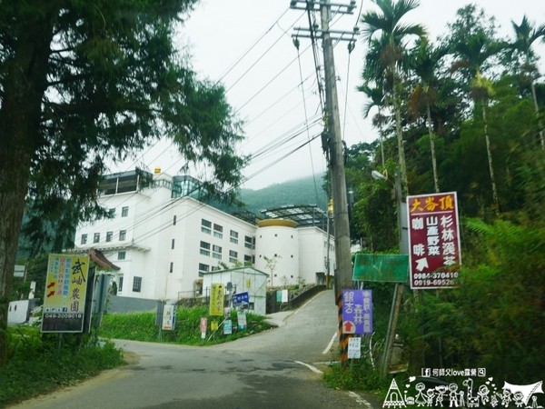 ▲南投鹿谷乡溪头宏亿茶园景观露营地。(图/何师父提供)