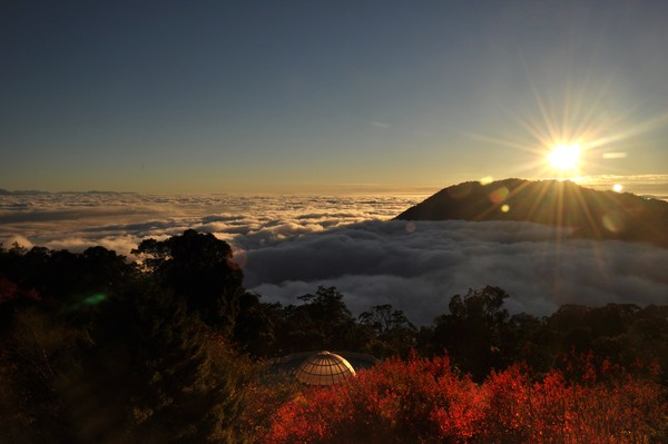 大雪山枫红(图/取自大雪山森林游乐区官网)