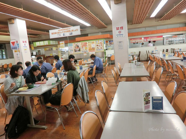 北海道大学。（图／摩那卡）