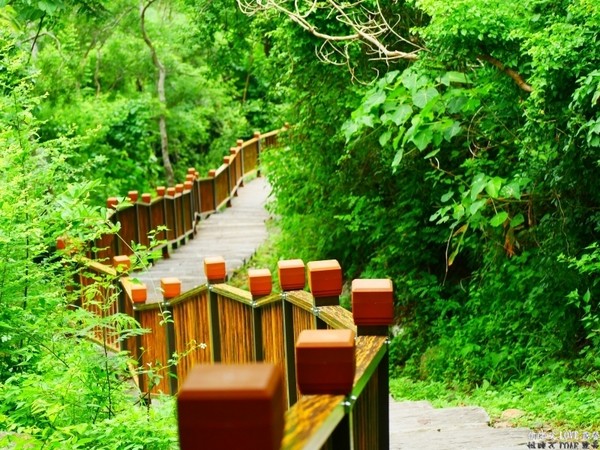 ▲屏东海豚茉莉湾海景露营地。(图/何师父提供)