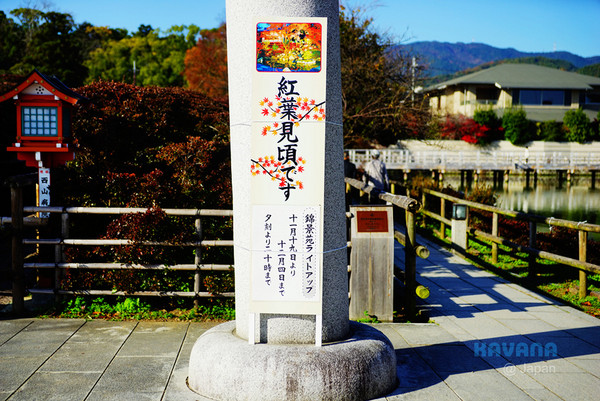 ▲日本长冈天满宫赏枫。（图／卡瓦纳提供）