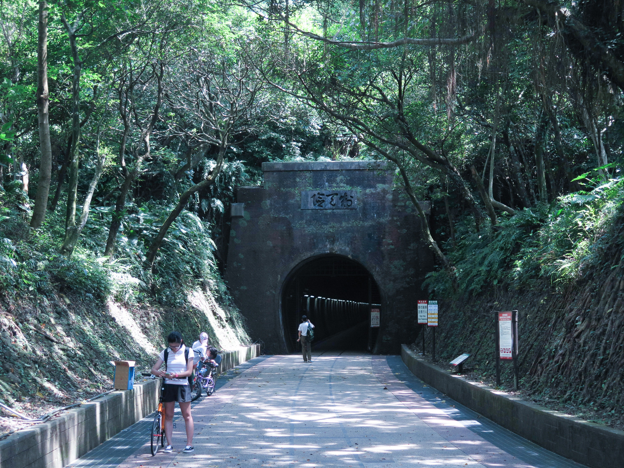 旧草岭古道(图/记者陈姿吟摄)