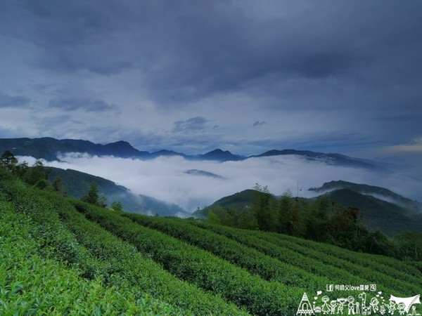 ▲南投鹿谷乡溪头宏亿茶园景观露营地。(图/何师父提供)