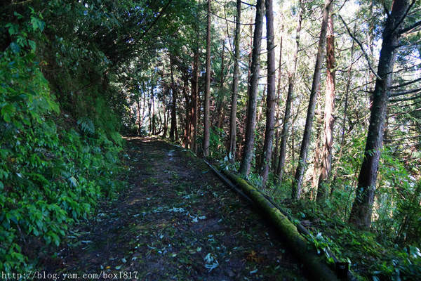 ▲合欢溪步道。(图/1817Box提供)